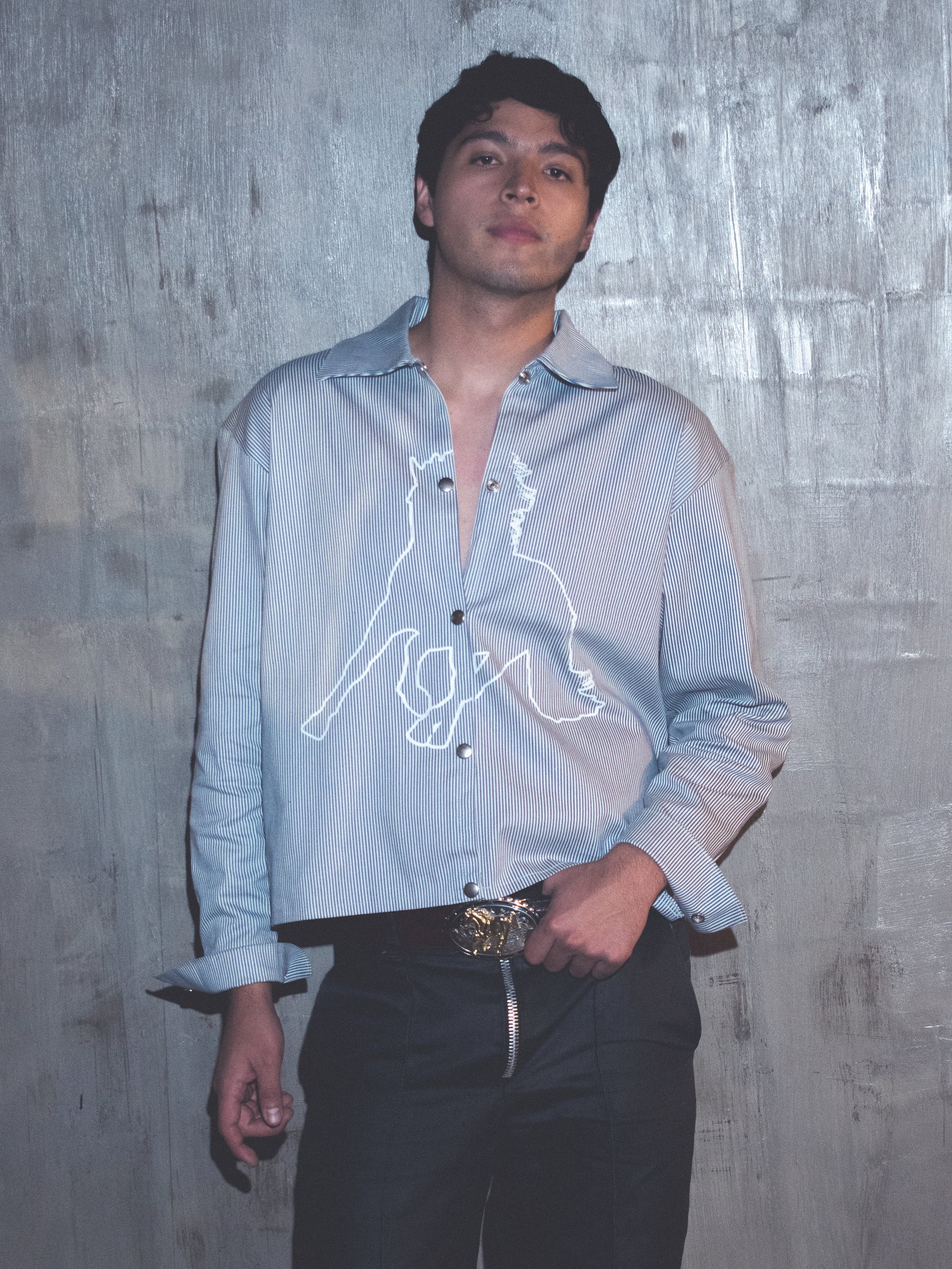 Camisa Horse - Regular