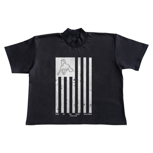 "Novus Ordo Seclorum" - T-Shirt